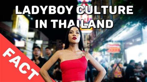 ladyboy scandal|The Thai.